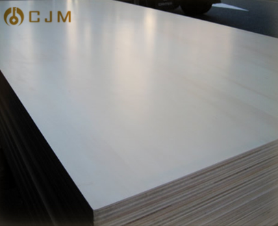 Type 301 Polished Roof Cold Rolled Steel Sheet